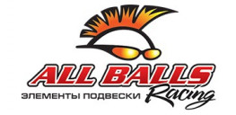 All Balls Racing